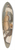 Cyprin Majernk - Bullock (Gypsy Fiddler on the Back) 39.3 inch art pintail longboard deck
