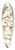 David Humbert de Superville - Diverse roofvogels: adelaars en gieren 39.3 inch art pintail longboard deck