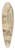 David Humbert de Superville - Head of a roaring lion 39.3 inch art pintail longboard deck