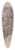 David Humbert de Superville - Kop van de Laocoon (de sculptuur i.h. Vaticaans Museum) 39.3 inch art pintail longboard deck