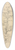 David Johnson - Pine Tree, Conway, New Hampshire (recto) 39.3 inch art pintail longboard deck