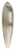 Denys van Alsloot - Winter Landscape 39.3 inch art pintail longboard deck
