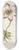 Carington Bowles - Single anemone 8.25 inch art skate deck