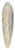 Eduard Wilhelm Pose - Campagna di Roma 39.3 inch art pintail longboard deck