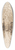 Edward Calvert - A Brig at Anchor, Trees Beyond 39.3 inch art pintail longboard deck