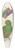 Edward Lear - Eclectus Roratus Polychloros 39.3 inch art pintail longboard deck