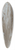 Edward Lear - Falla Near Strongoli, Corfu 39.3 inch art pintail longboard deck