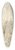 Elias van Nijmegen - Izak en Rebekka voor Abimelech 39.3 inch art pintail longboard deck