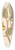 Elizabeth Blackwell - The nux vomica of the shops 39.3 inch art pintail longboard deck