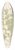 Elizabeth Blackwell - White henbane 39.3 inch art pintail longboard deck