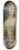 Carl Gustaf Pilo - Sofia Magdalena, Queen of Sweden 8.25 inch art skate deck