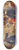 Carl Johann Nepomuk Hemerlein - Ein Astrologe weissagt Rudolf von Habsburg 8.25 inch art skate deck