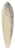 Eugne Boudin - LIle aux Moines with Figure and Cart 39.3 inch art pintail longboard deck