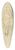 Eugne Delacroix - Study for Marphise and the Mistress of Pinabel 39.3 inch art pintail longboard deck