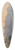 Eugne von Gurard - Sdliche Kstenlandschaft mit Palmen 39.3 inch art pintail longboard deck