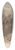 Felix Octavius Carr Darley - Bernini Fountain, Rome (recto) 39.3 inch art pintail longboard deck