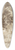 Ferdinand Kobell - A Path Bordered by Trees with two Beggars and a Couple Strolling 39.3 inch art pintail longboard deck