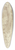 Ferdinand Olivier - Baum mit einem Felsen, unter welchem ein Hirte sitzt 39.3 inch art pintail longboard deck
