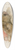 Floris Verster - Head of a baboon 39.3 inch art pintail longboard deck