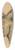 Floris Verster - Head of a donkey 39.3 inch art pintail longboard deck