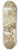 Carlo Labruzzi - Sketch for Frontispiece to Figure Originali 8.25 inch art skate deck
