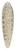 Francesco Piranesi - The Temple of Antoninus and Faustina 39.3 inch art pintail longboard deck