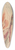 Frances Hodgkins - Lancashire mill girls 39.3 inch art pintail longboard deck