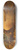 Carl Pischinger - A loyal friend in the horse stable 8.25 inch art skate deck