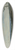 Frans Post - A Brazilian Landscape 39.3 inch art pintail longboard deck
