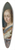 Frans van Mieris the Elder - Pictura (An Allegory of Painting) 39.3 inch art pintail longboard deck