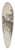 Franz Wacik - Das Alter 39.3 inch art pintail longboard deck
