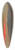 Frederic Edwin Church - Sunset, Hudson, New York 39.3 inch art pintail longboard deck