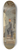 Carl Stefan Bennet - The Sculptor Fogelbergs Studio in Rome 8.25 inch art skate deck