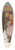Frederick Morgan - Yuletide 39.3 inch art pintail longboard deck Frederick Morgan - Yuletide 39.3 inch art pintail longboard deck