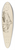 Friedrich von Olivier - Shriveled Leaves 39.3 inch art pintail longboard deck