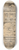 Casimiro Castro - Interior del Teatro Iturbide 8.25 inch art skate deck