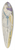 George Barbier - Grande robe du soir 39.3 inch art pintail longboard deck