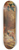 Caspar Franz Sambach - Der Tod des heiligen Joseph 8.25 inch art skate deck