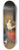 Caspar Netscher - Courtship 8.25 inch art skate deck