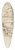 George Romney - The Blindfolding of Cupid 39.3 inch art pintail longboard deck