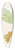 Georgina Burne Hetley - Senecio Robusta, Senecio Hectori 39.3 inch art pintail longboard deck