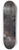 Cesare Viazzi - Studio di maialino 8.25 inch art skate deck