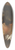Gian Lorenzo Bernini - Head of a young man in profile 39.3 inch art pintail longboard deck