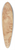 Gian Lorenzo Bernini - Portrait of a Young Man 39.3 inch art pintail longboard deck