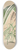 Charles Antoine Lemaire - Panicum plicatum, fol. niveo-vittatis 8.25 inch art skate deck