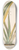 Charles Antoine Lemaire - Phormium tenax fol. var 8.25 inch art skate deck