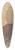Gustav Wentzel - From Maridalen 39.3 inch art pintail longboard deck