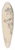 Hans Krumpper - Allegory of Geometry 39.3 inch art pintail longboard deck