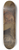 Charles Cottet - Fillettes bretonnes 8.25 inch art skate deck