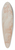 Hendrik Krock - Konkylieblsende triton set bagfra 39.3 inch art pintail longboard deck
